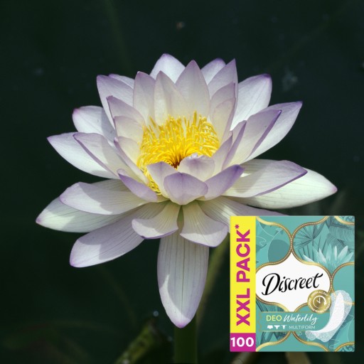 Diskrétne slipové vložky Priedušný materiál Multiform Waterlilly x100