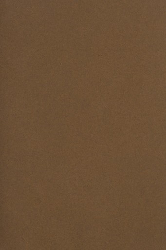 Farebný doskový papier Bristol 250g hnedý - 10A3