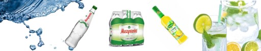 ŽIHHLOVÁ ŠŤAVA 100% S VITAMÍNOM C 500 ML BYLINK