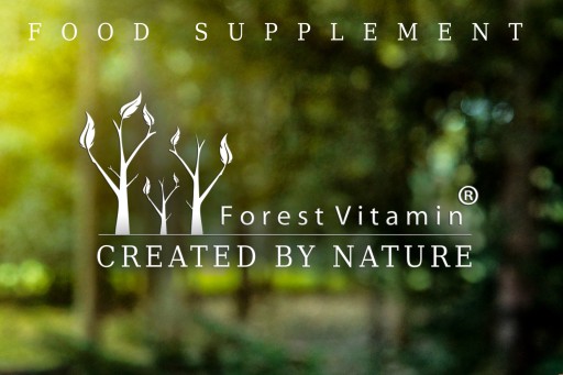 APPLE CIDER VINEGAR APPLE VINEGAR 500 mg SPALOVAČ