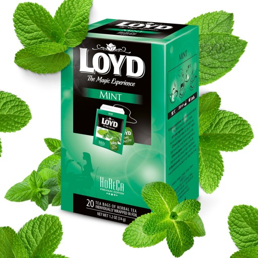 Expresný bylinkový mätový čaj v obálkach Horeca Mint 20T LOYD