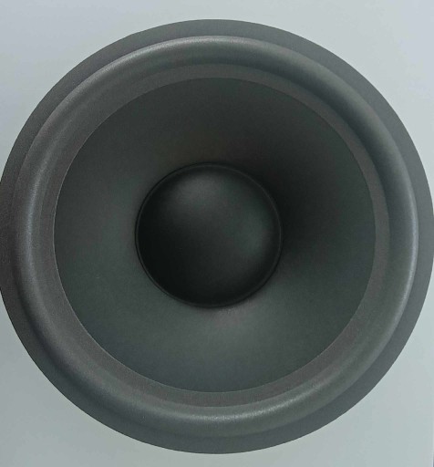 Membrána reproduktora 25 cm GDN 25 penový reproduktor