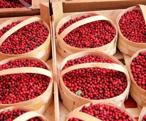 Sušené rezané brusnice Makar 500 g