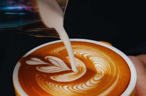 Ručný napeňovač mlieka ESPERANZA LATTE White
