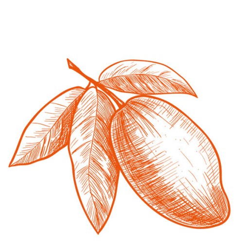 POMARANČOVÉ A MANGO ŠŤASTIE EKO TELOVÉ MYDLO 80 g - SANTE