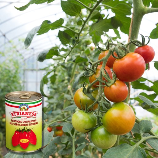 Strianese Pomodoro San Marzano paradajky 400g