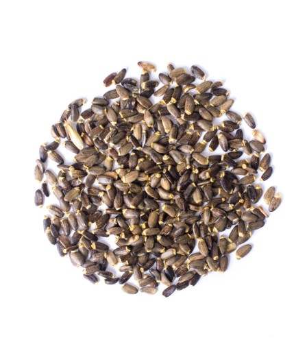 Pestrec mariánsky v zrnách, ZRNÁ 1 kg + zadarmo