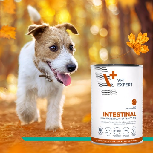 Vet Expert Intestinal vlhké krmivo pre psov s tráviacimi problémami 400g
