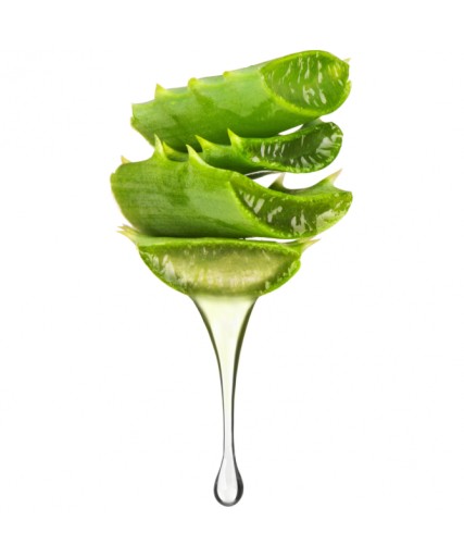 Erbel Aloe Wax Narrow Roll 100 ml