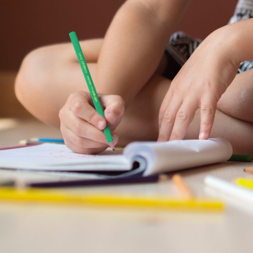 Bic HB ceruzka bez gumy 1 ks