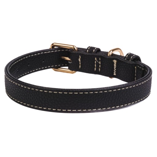 Obojok pre malého psíka GOLD BUCKLE farby 45cm M