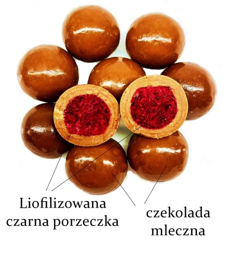 FORMELO ČIERNE RÍBEZLE SUŠENÉ V MLIEČNEJ ČOKOLÁDE 100% NAT 100g