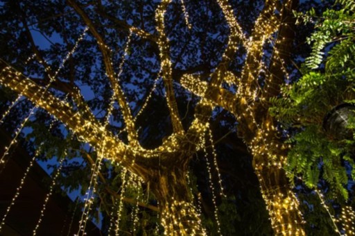 Lanové osvetlenie na terasu, balkón, párty, drôt 840 cm, 80 LED