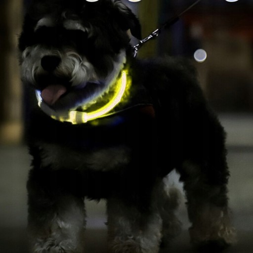 NASTAVITEĽNÝ LED USB OSVETĽOVACÍ GOLIER PRE PSA A MAČKU