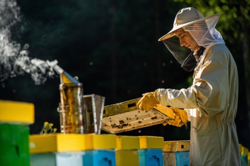 POHÁNKOVÝ MED Z WARMIE 250G PRÍRODNÝ A PIKÁRNY