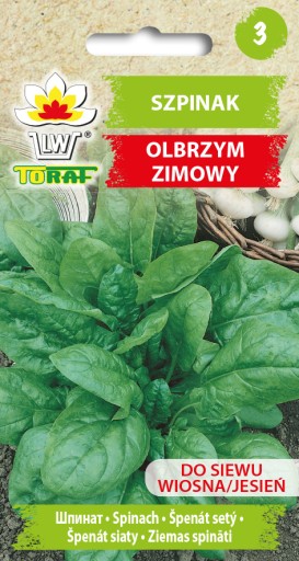 Zimný obrovský špenát zeleninové semená 10g TORAF
