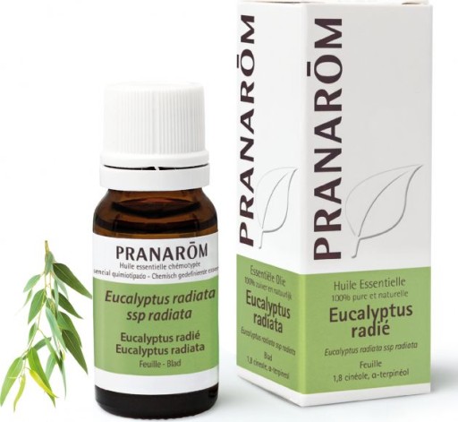 Esenciálny olej EUKALYPTUS Eukalyptus 10ml