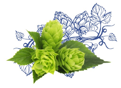 COSNATURE MEN čistiaci gél na holenie HOPS