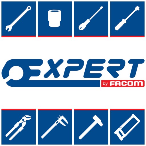 Skúšobný skrutkovač 100/250V Expert od Facom E161101