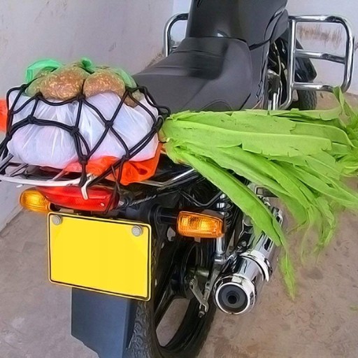 SIEŤ NA BATOŽINU MOTO PRILBA MOTORKA NA MOTOCYKLE PAVÚK