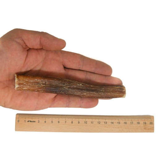 15 cm Sušený prírodný hovädzí penis pre psov, pochúťka na žuvanie
