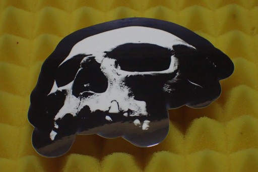 NÁLEPKA HARLEY DAVIDSON SKULL NÁLEŽKA 10,2 x 9 cm