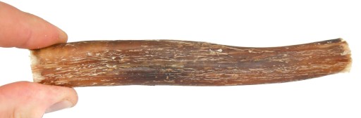 15 cm Sušený prírodný hovädzí penis pre psov, pochúťka na žuvanie