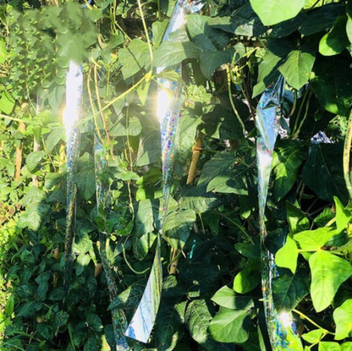 REFLEXNÁ HOLO PÁSKA ODSTRAŇUJÚCA VTÁKY, VRÁNY, HOLUBY, ŠTARTOVKY, RAMENO 80M