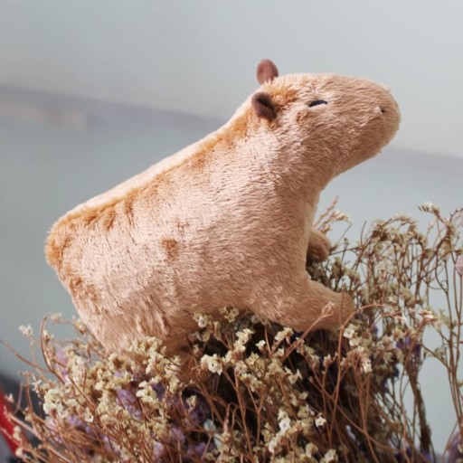 PLYŠOVÉ ZVIERATKÁ, REALISTICKÉ PLYŠOVÉ HRAČKY, PLYŠ KAPYBARA, 19 CM