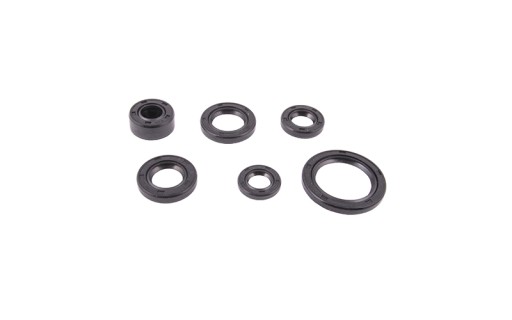 Tesniace hmoty pre ATV 110 (sada) Moretti