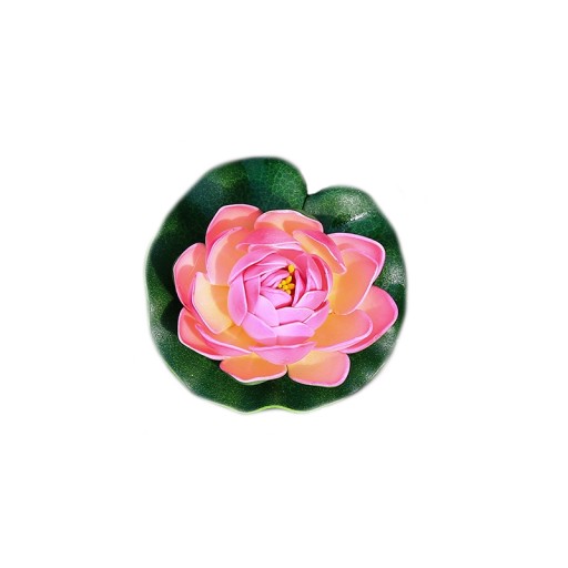 Ľalia do jazierka s lososom, 10 cm