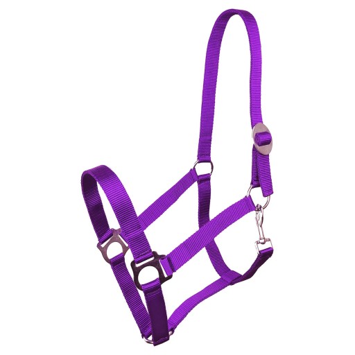Farby ohlávky York Harmony Cob
