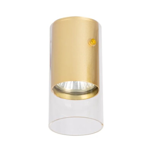 Ricky Downlight Gold 1xGU10