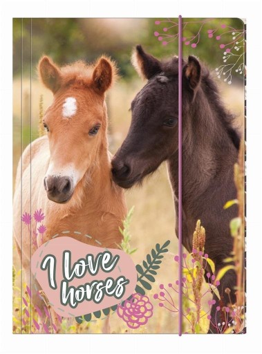 A4 ŠKOLSKÝ PIŠTOK S Gumou pre DIEVČATÁ v Koňoch Farebný.