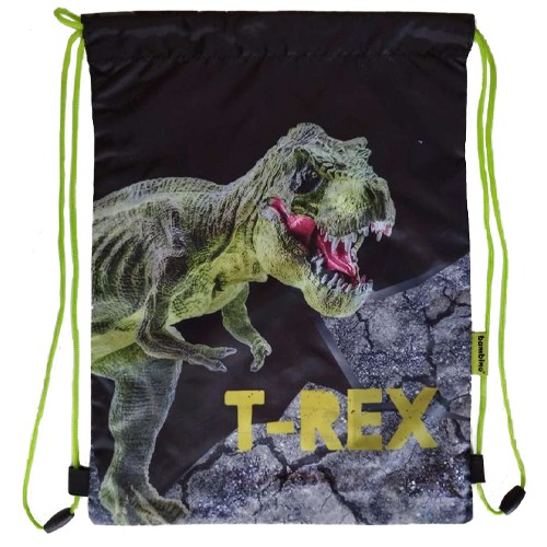 BAMBINO taška 42 x 34 cm na topánky, outfit, DINOSAUR