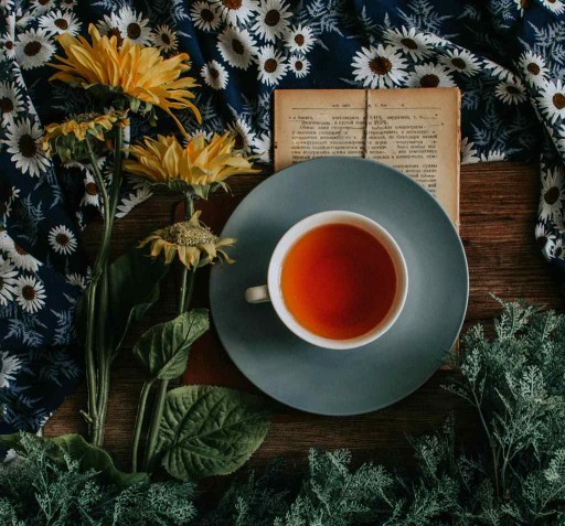 Rooibos Rozprávkový čaj 100g Flavo Delicious!