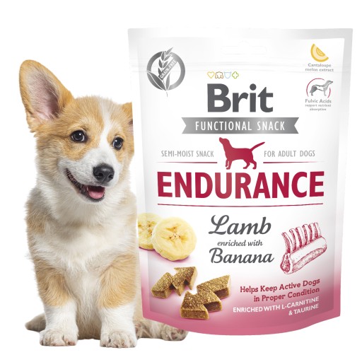 Brit Care Funkčný snack Endurance 150G