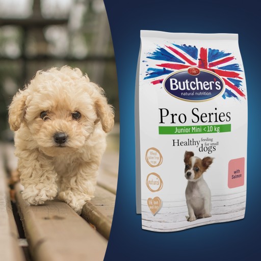 Butchers Pro Series Dog Junior suché krmivo pre psov losos 800g