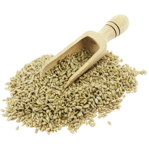 SLNEČNICA LÚPANÁ 1 kg KVALITNÁ!!!