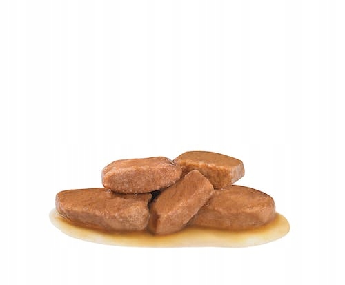 Royal Dog Early Renal 100 g vlhké krmivo pre psov