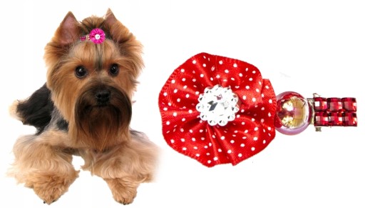 MÚTIKOVÁ VÁZA PRE PSA YORKY SHIH TZU