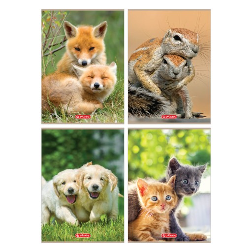 32-listový štvorčekový zošit A4 Animals Gophers