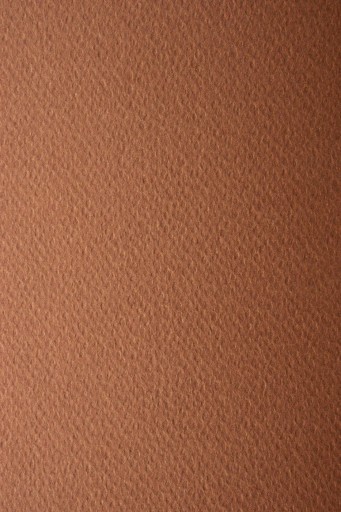 Bristolový papier pre umelcov 220g hnedý - 10A3