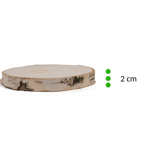 Nasucho brúsený drevený plátok 15-20 cm, breza