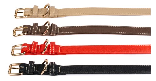 Obojok pre malého psíka GOLD BUCKLE farby 35cm S