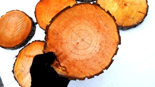 DREVA DREVA, JLŠA STOPKOVÁ 20-25CM, 1 KS