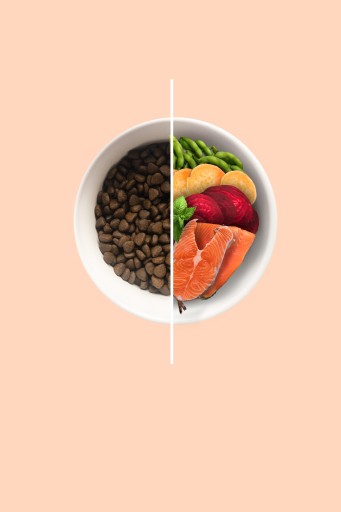 VZORKA 200g - SUPERFOOD Škótsky LOSOS 65% - Mäsové príchute