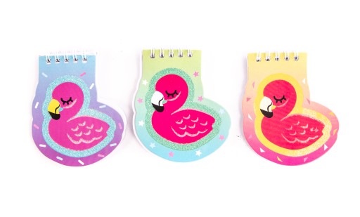 NOTEBOOK MINI NOTEBOOK FLAMING RÔZNE FARBY