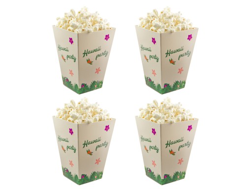 Hawaii Party Popcorn Boxes Hawaii 6s