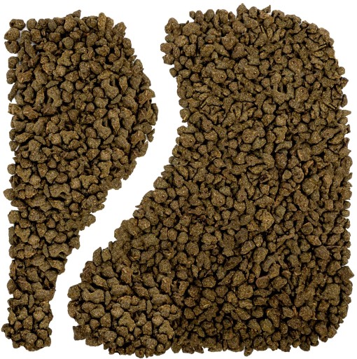 GINSENG oolong čaj ženšen 50g tyrkys